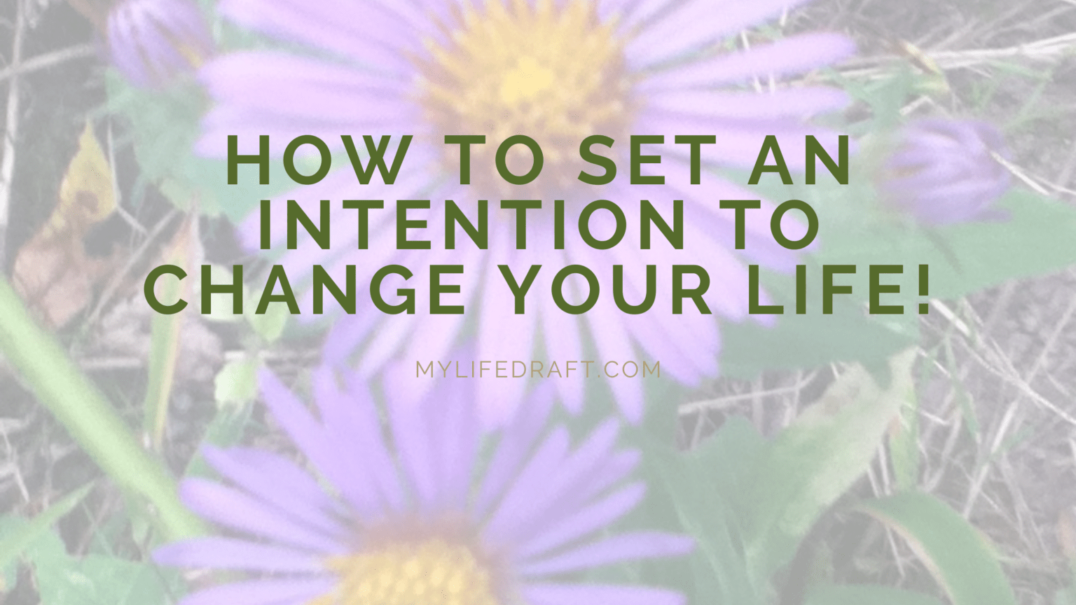 Intention To How To Set An Intention To Change Your Life — MyLifeDraft