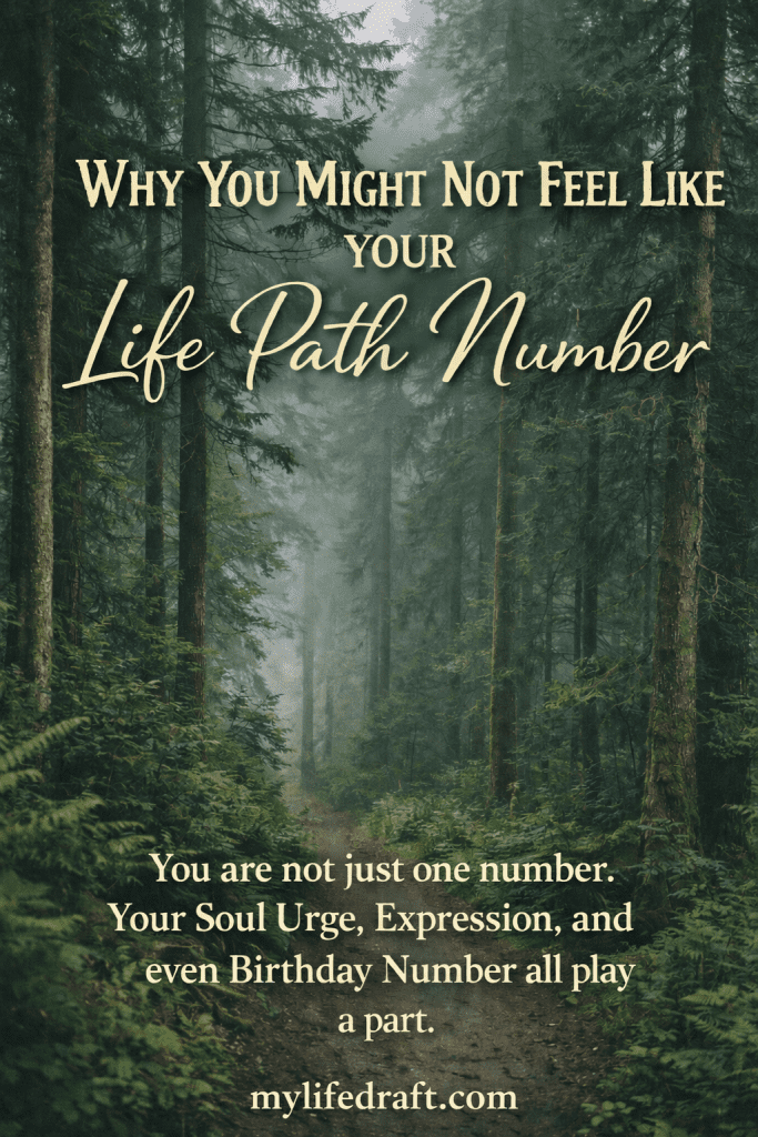 Trees in the woods with a pth. Life path number and why it doesn't feel like yours.