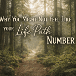 Why you may not feel like your life path number a path through the woods and tall trees